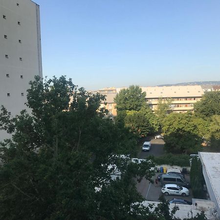 Pillango Parki Kis Lakas 15 Percre A Belvarostol 布达佩斯 外观 照片